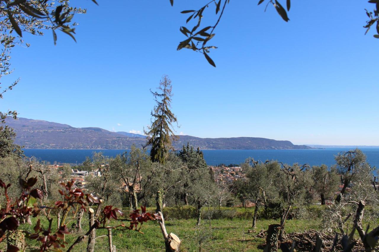 托斯科拉诺-马德尔诺Relax In The Olive Grove公寓 外观 照片